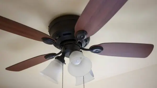 ceiling fan Lighting